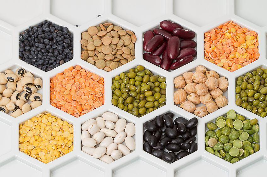 Vegan Protein Market to Observe Strong Development by 2014-2020 Protein is one of the most important nutrients required to maintain health. Vegan protein is a protein derived from plants.
