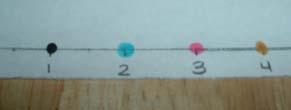 results on the chromatography paper? Why or why not? Activity 1.
