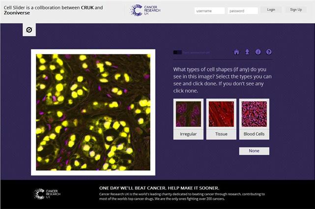 Gameplay 4. Gameplay and Games With many people playing this game, the recognition of those cells becomes easier and the process of finding cures goes quicker.