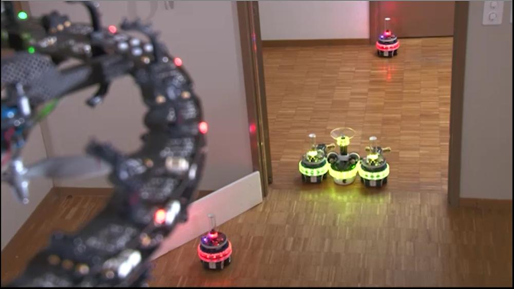 4.2. EXPERIMENTS WITH REAL ROBOTS 37 Figure 4.5: A screen-shot of a video of the Swarmanoid project.