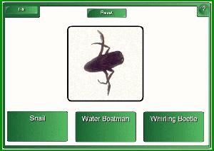 drop-down menu. You can also add text to the front of the tiles to create quiz games and puzzles.