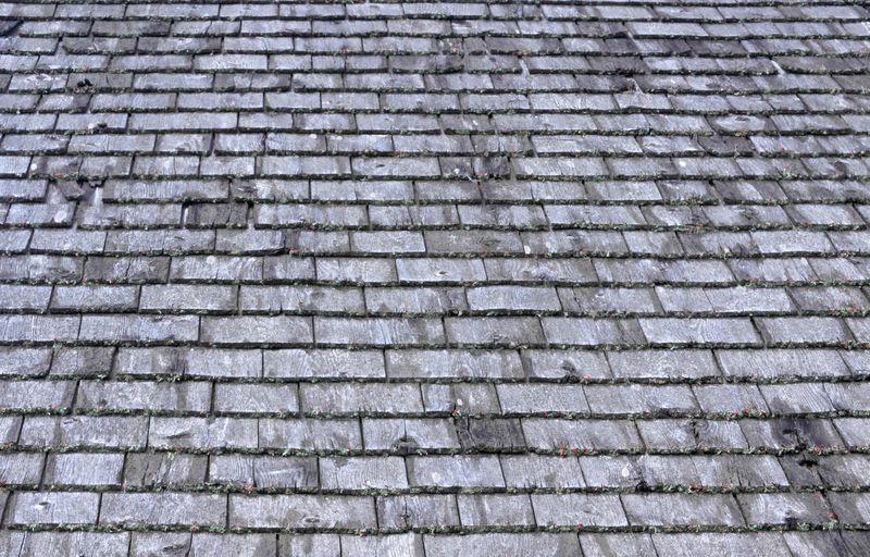 This type of roof is also susceptible to mold, mildew, insect burrowing, and rot.