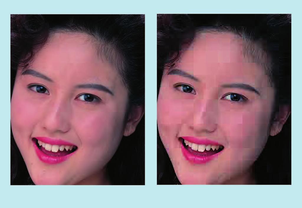 blocking artifacts the image appears to be composed of rectangles, particularly in smooth areas like the woman s cheeks and forehead.