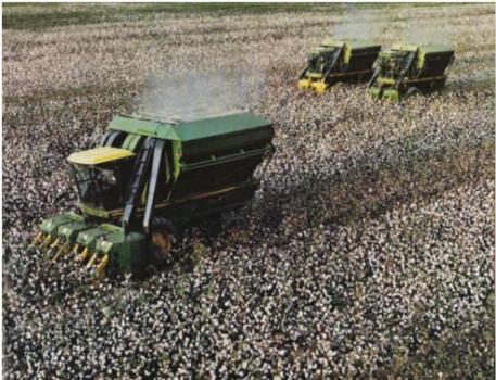 picker made cotton picking much faster and easier as the cotton was just tipped into a module builder where it was Pressed. Figure 4.