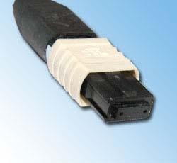 cable. The multiple fibers are terminated with a single MPO (or MTP which is inter-changeable) connector.