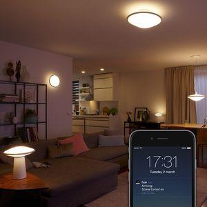 Safety and security at home Connect this Philips Hue lamp with the Hue bridge and discover the full range of lighting possibilities.