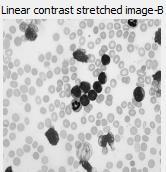 (a) (b) Fig (9): linear contrast starching of grayscale image: a) Grayscale image, b) enhanced image Fig (3): Subtraction Process Fig (0): linear