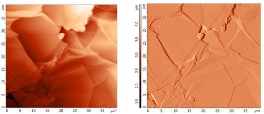 Results of the Raman measurements on graphene flakes are presented in Figure 1.