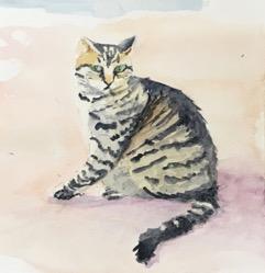 Workshop News Our summer workshop with Nancy Van Meter "Painting Cats and Dogs in Watercolor", was held at the Quaker Friends Meeting House, Annapolis and was fully attended.