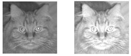 Some Matlab functions require 8-bit images as input, others prefer double images. Image Arithmetic To brighten a grayscale image A by 60%, we multiply all values by 1.6. A = 1.