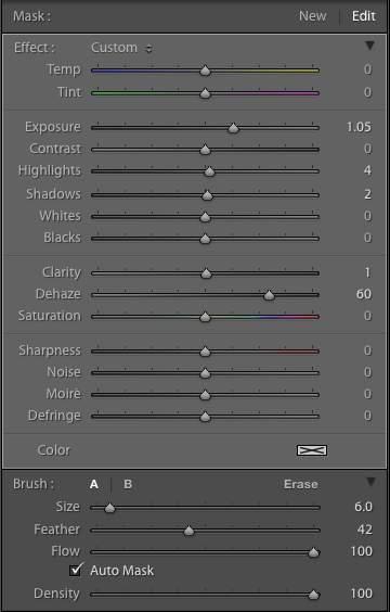 Selecting this opens the Adjustment Brush panel.