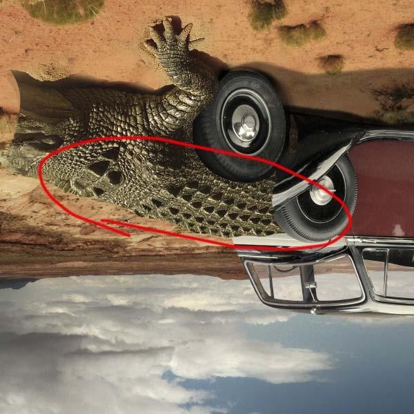 Clip this part to the car s layer and leave only the part that covers the door. Remember to leave out the upper wheel.