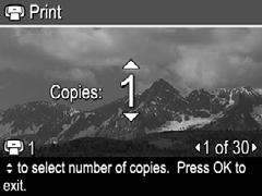 Press. This option is available only if you have tagged more than one image as a Favorite (see Tagging images as Favorites on page 19). All Images... Displays the Print All Images entry. Press.