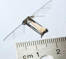 Harvard University Fun Fact: Flies using artificial muscles comprised of materials
