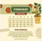 Seed Calendar and is printed on bright colored seed