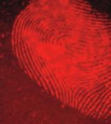 General Debris Fingerprints UV V B BG G O R