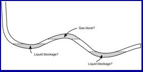 Horizontal Well Challenge Typical Horizontal Well Profiles Gas Lock Liquid Blockage Note difference in vertical and horizontal scales This