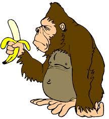 Solution to Maths Challenge #32 Bananas Today, Bananas Tomorrow! A monkey has 75 bananas. Each day, he kept a fraction of his bananas, gave the rest away and ate one.