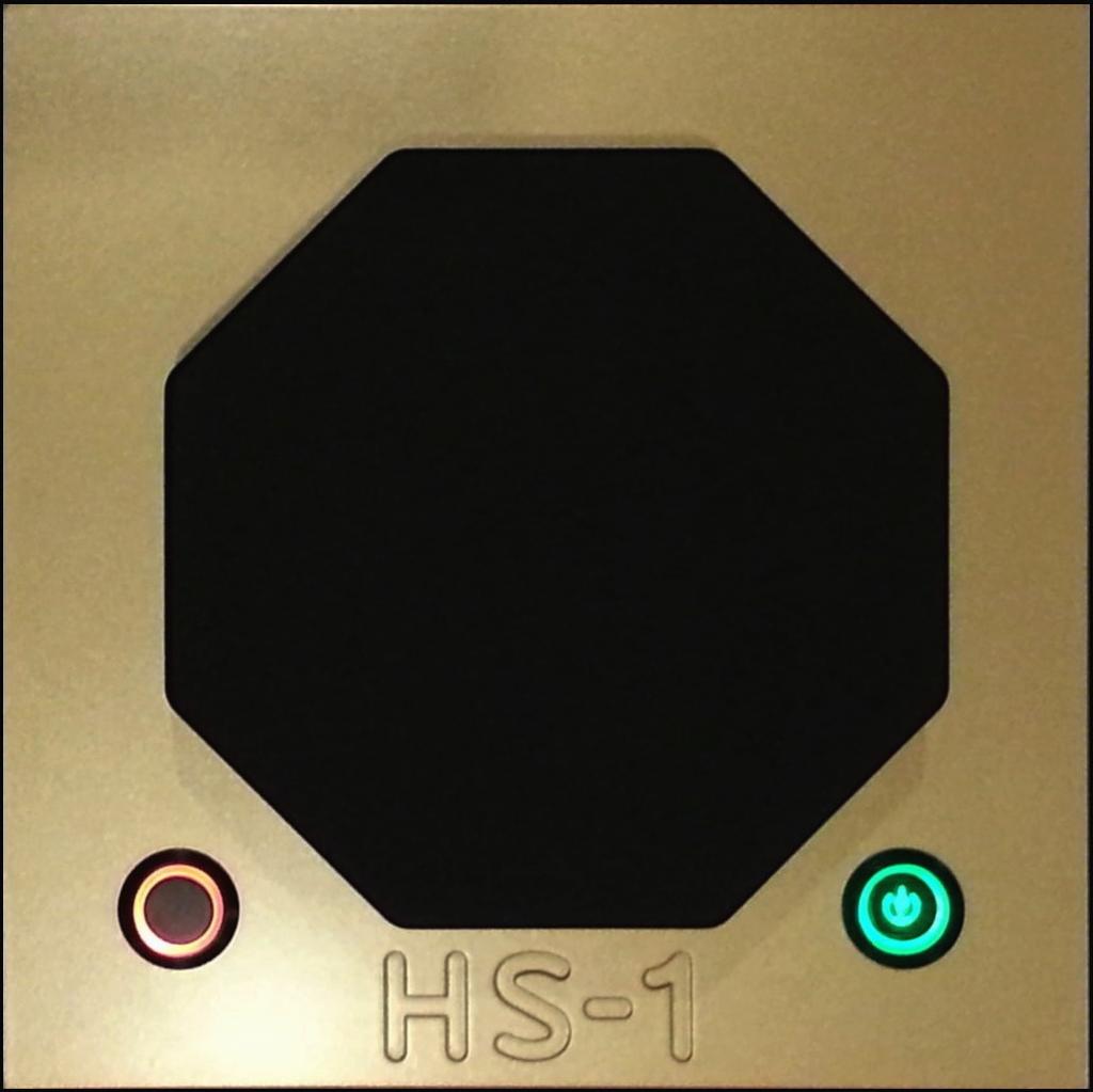 HS-1 Hi-End audio amplifier