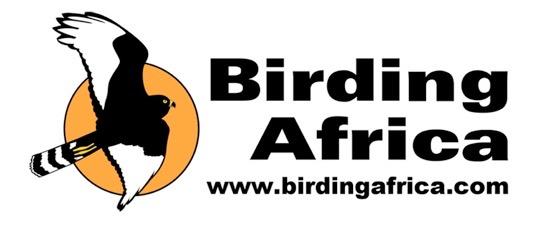 ! Birding Africa Namibia