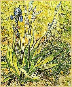 Artist: Vincent van Gogh Title: The Iris (1889) Form of Art: realistic