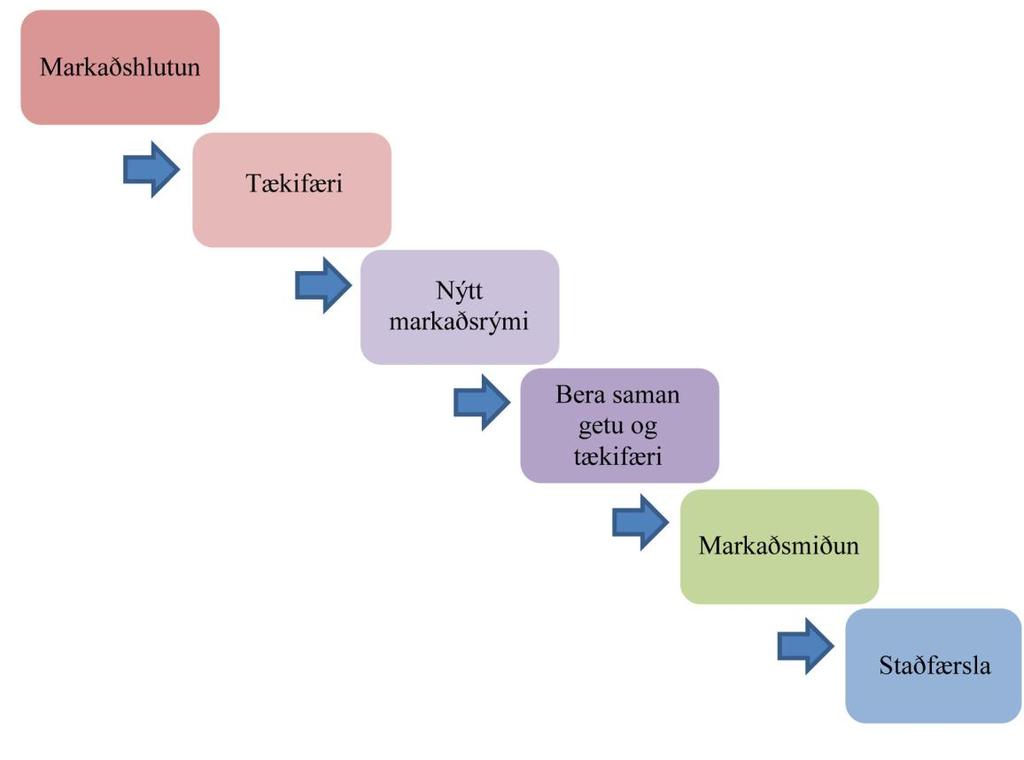 Talað er um ólíkar þarfir og óskir neytenda (Friðrik Eysteinsson, 2003).