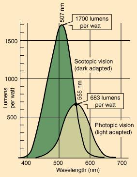 quasiparticles) Superconducting Tunnel Junction (STJ) The Human Eye A thin convex lens Focal length ~ 14mm (near vision) 17mm (far vision) Aperture ~ 2 8mm Dynamic range: 100,000:1 Photon sensor on
