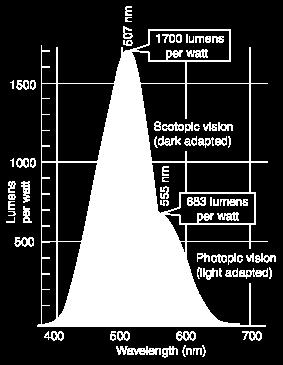absorption of radiant energy. [Example: bolometer] Quantum detectors respond to incident photons.
