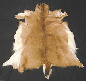 Animal hides With animals hides, Paleolithic people made clothes, shoes, covers for their shelters, bags, belts, etc.