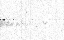 Point scatterers whose echoes appear as dark blobs in Fig. 1a are birds. A dark line at 34km is the airplane spectrum with raised spectral floor.