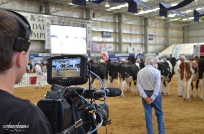 3 IDWlive Company Advertisements Limit: 10 places available IDWlive is a daily continuous broadcast of the Dairy Breed Cattle Shows using a production crew to record the action and detail of each