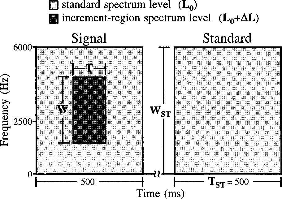 FIG. 1. Idealized spectrogram representation for an increment-detection trial. The signal stimulus is shown in the first interval and the standard stimulus is shown in the second interval.