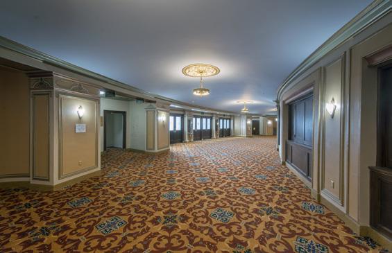 Rental Opportunities USF is pleased to offer exceptional venues for your upcoming meeting, conference or special event.
