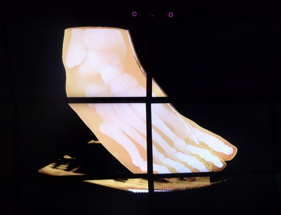 Figure 2: Scan of the human foot horizontal orientation starting position Users also were instructed to rotate the image from an upside down vertical position showing the exterior of the foot to a