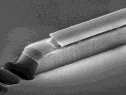 active III/V Matieral Al 2 O 3 InP Silicon 1mm Top View SEM of Fabricated