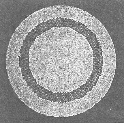 : 10 µm Filaments per strand : 1272 Cu : NbTi : : 5 : 1 Cu RRR : 100 Hysterisis Cu NbTi Cu Twist Pitches: I stage : 40 mm; II stage : 75 mm III stage: 130 mm; Losses : <100 mj cm -3 Strand