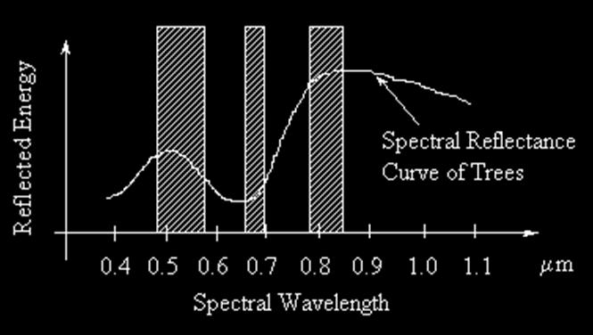 A B C Spectral Resolution and Spectral Sampling The three shaded bars A, B, and C represent three spectral bands.