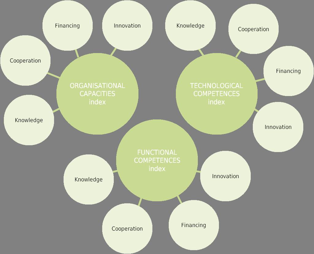 Diagram 1 Structure of the ORGANISATIONAL CAPACITIES, FUNCTIONAL COMPETENCES and TECHNOLOGICAL COMPETENCES indices The preparation of the INDICES is directly related to the methodological and