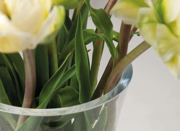 Rosie s pure and modest shapes gives you the opportunity to create the most beautiful bouquets.
