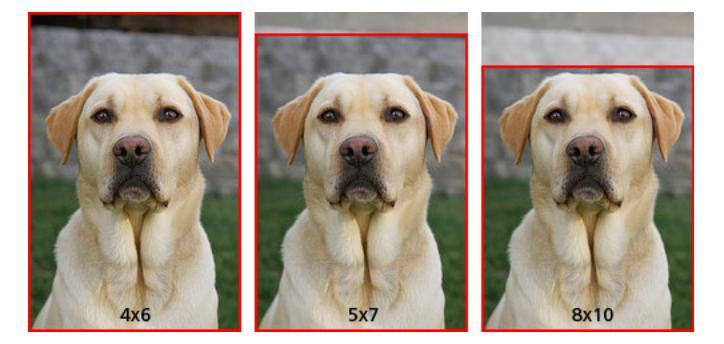 Aspect Ratio The aspect ratio is the ratio of the width to the height (or vice versa). This determines the shape of the image.