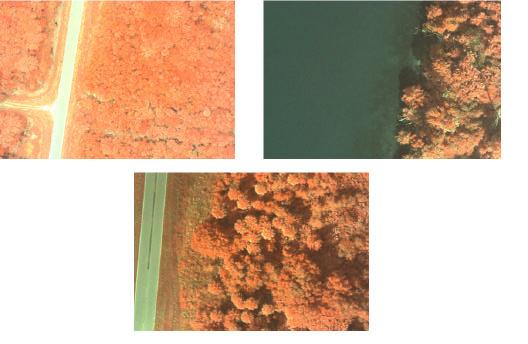 (a) (b) (c) Figure 2. Sample aerial images taken with different altitude (H) and focal-lengths (f) combinations: (a) H 360m and f = 35mm; (b) H 360m and f = 135mm; (c) H 750m and f = 135mm 6.