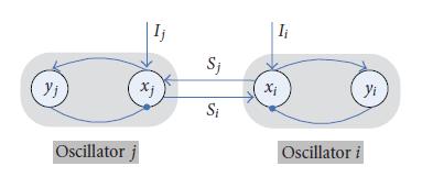 Coupled Relaxation Oscillator Dynamics: Nullclines Two coupled neural oscillators Nullclines of