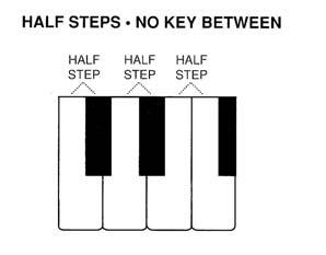 Level 1 Unit 2: Half and Whole Steps and Walking and Skipping in C minor Half Steps Defined: Adjacent keys (white or black) are said to be separated by a half step (Alfred Prep