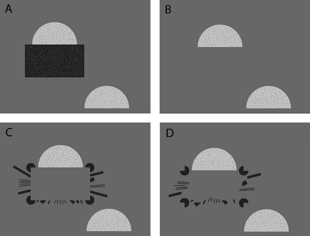 depth conditions. If implicit T-junctions are sufficient, then we expect a reduced occlusion illusion to be present. Figure 4. Sample displays for Experiments 2a and 2b.