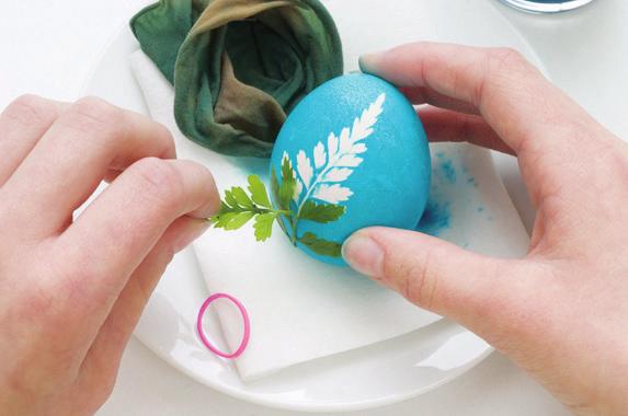 glass. Carefully submerge the nylon-wrapped egg in the bath and let it soak for about 4 