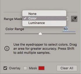 Range masking Camera Raw now offers Color and Luminance Range Mask controls. The Range Mask options are at the bottom of the Adjustment Brush, Graduated Filter and Radial Filter panels.