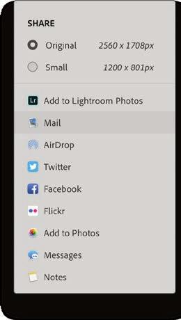 The Share menu lists native sharing systems, including services such as Facebook and Twitter.