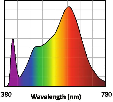 SERIES/CCT COLOR ACCURACY WHITENESS INDEX