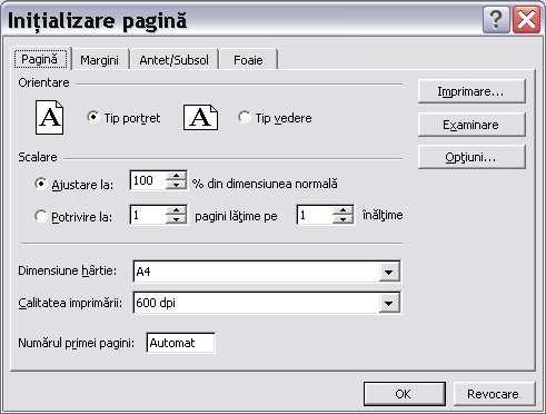 Formatarea paginii Excel furnizează multe setări opţionale astfel încât să se poată modifica aspectul paginii ce urmează a fi tipărită, prin fereastra multiplă deschisă de