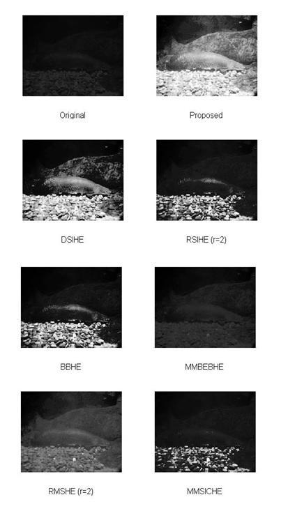 Processed images using different techniques proposed is our